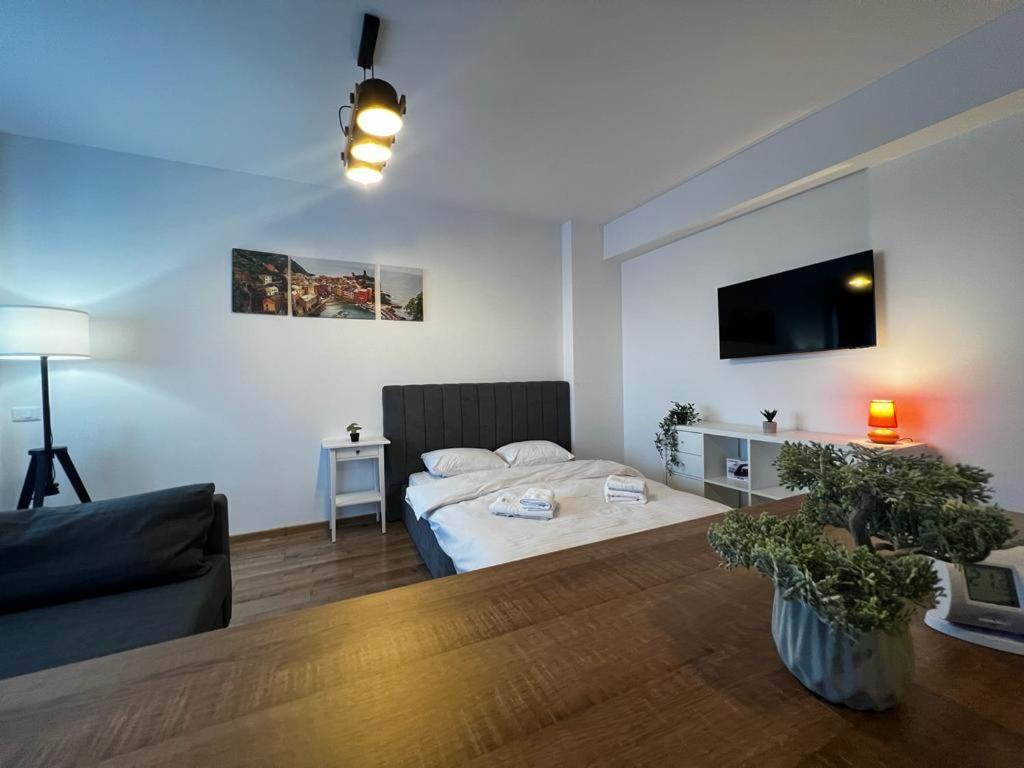 Cozy Accommodation Central City - 雅西 外观 照片