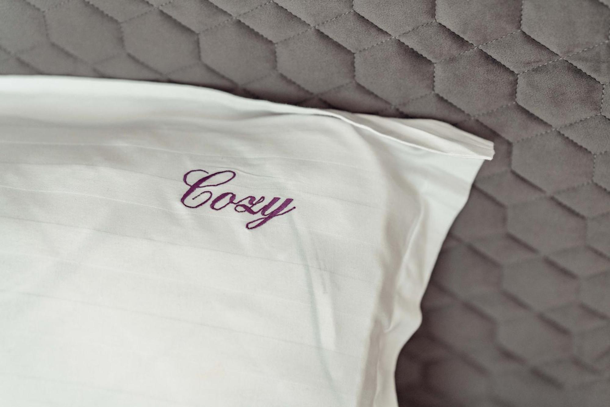 Cozy Accommodation Central City - 雅西 外观 照片